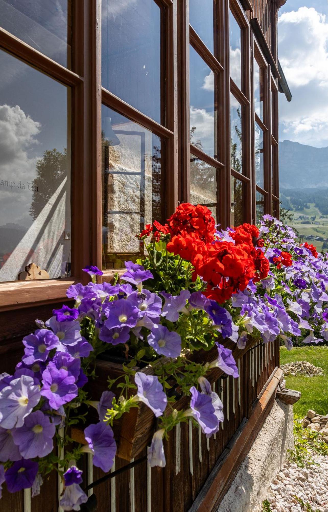 Agriturismo Maso Runch Badia  Exterior photo